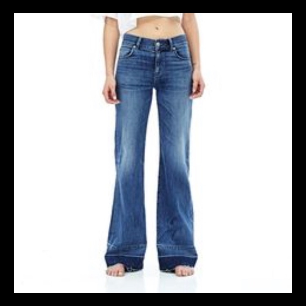 Amazing Hudson Dani Wide Leg Jeans